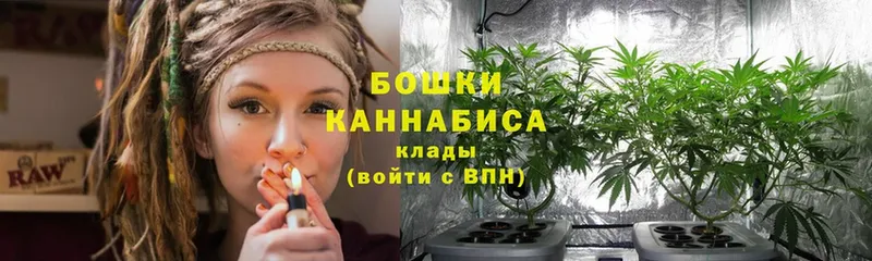 где купить наркотик  Анжеро-Судженск  Каннабис семена 